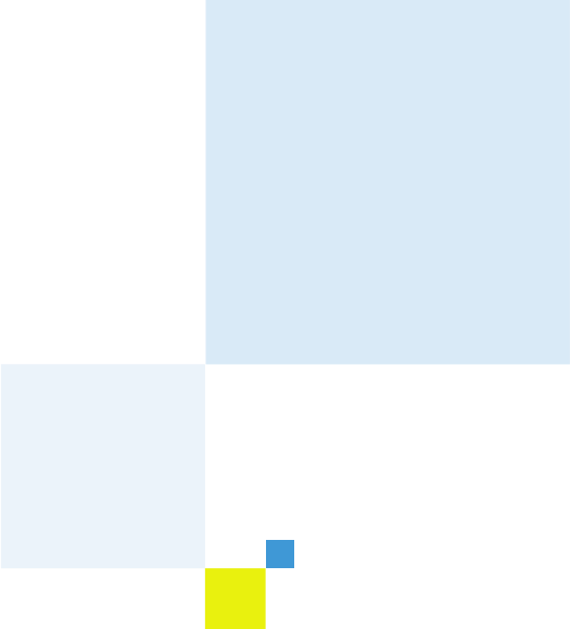 Software Decoration